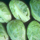 Picture of brussels sprouts