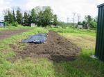 Black plastic on a newly dug allotment.