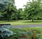 University student in the park