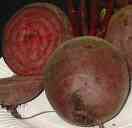 warrior beetroot picture