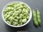 The Sutton broad bean