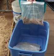 picture of storing dahlia tuber
