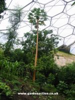 Inside view of the Humid Tropics biome