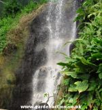 View up the waterfall