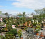 Amerton garden centre