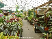 Indoor sales area at Bardills Garden Centre