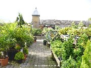 Outdoor plants sales area