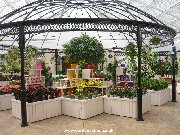 House plants at Barton Grange Garden Centre, Preston