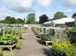 Dobbies, Cirencester outdoor plant area