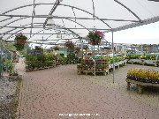 Outdoor plants under covered walkway