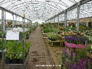 Covered plants area at Dobbies Dunfermline