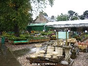 The outdoor plants area of Dobbies at Paisley