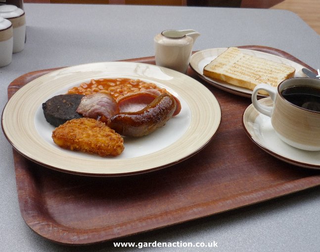 The cafe and food at Dobbies, Southport