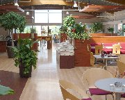 Cafe interior at Dobbies garden centre, Southport