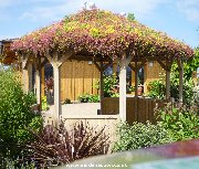 Living roof