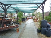 Outdoor plants area