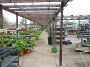 Outdoor plant area at Grasmere