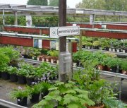 Signs in the outdoor sales area at grasmere Garden Centre