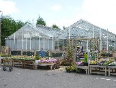 Entrance to Hilltop Nurseries, Nottingham