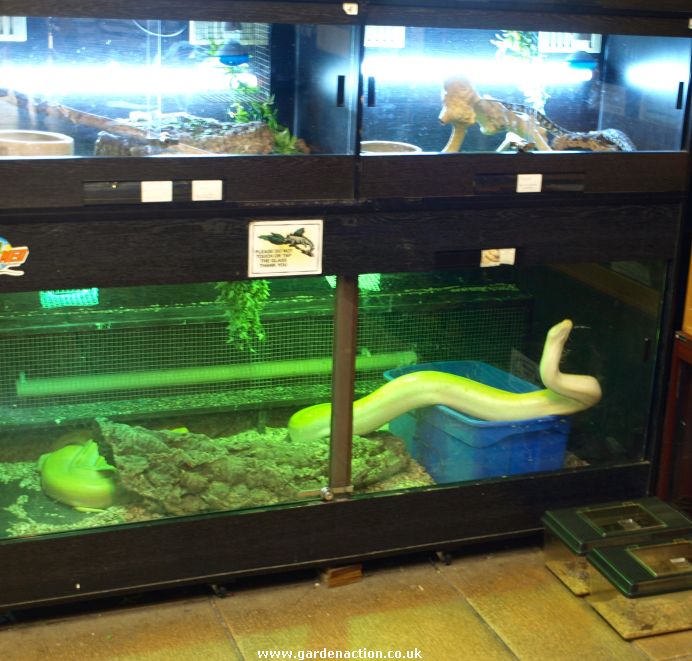 reptile room