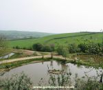 View from plant sales area of Homeleigh Garden Centre, Launceston, Cornwall