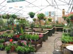 The covered plant sales area