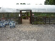 Entrance to Mockridge Nurseries