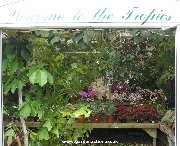 Entrance to the "Tropical Zone" at Newington Nurseries