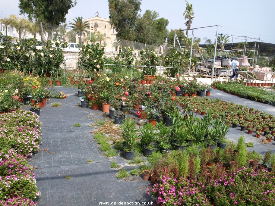 Piscopo gardens deals