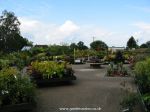 The outside plant area.