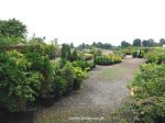 View of the outdoor plant slaes area.