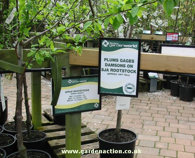 Sanders shop garden centre