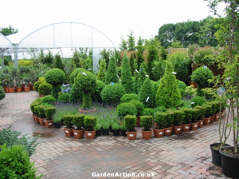 Smith S Nurseries Garden Centres In Coventry