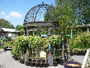 The outdoor plants area at Stapeley Water Gardens