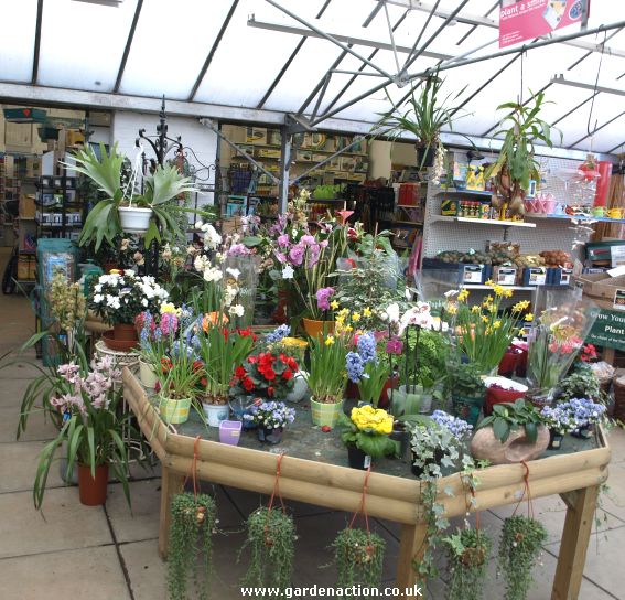  there was a small selection of good quality and well kept house plants.