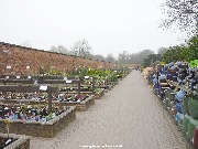 Shrub sales area