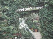 Entrance to World's End Nurseries, London