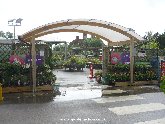 Entrance to Wyevale's Taunton Garden Centre