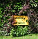 Entrance to Wythybrook Nurseries