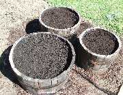 Herb containers filled with compost