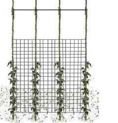 Diagram of supporting pea plants