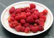 picture of raspberry variety Malling Jewel