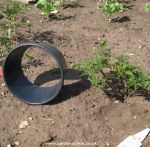 Cut out the base of a large plastic pot