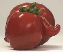 Unusual tomato shape