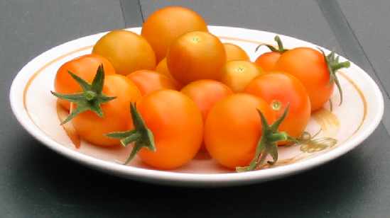 Tomato Sungold picture