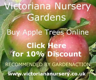 Apple Trees at 10% dsicount from Victoriana Nurseries. RHS Silver Medalists.